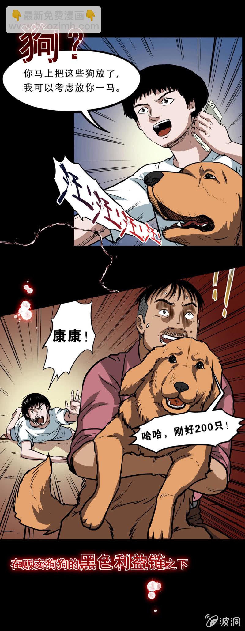 见怪不怪预告6