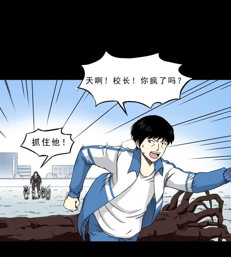 崭新的一天336