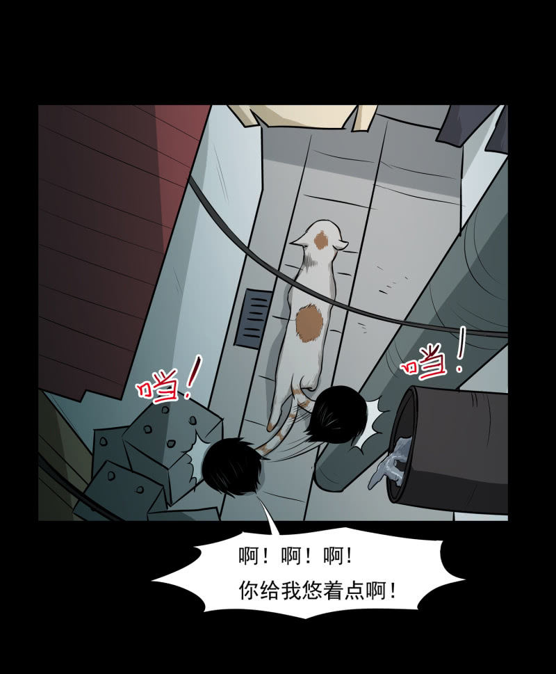 寄生兄弟331
