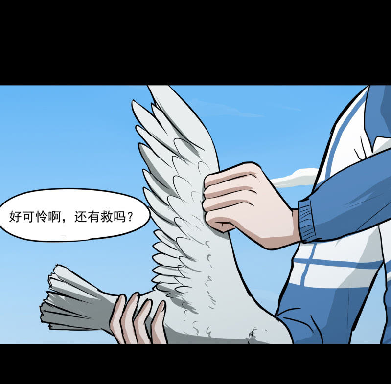 崭新的一天141