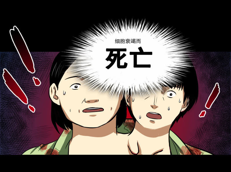 寄生兄弟162
