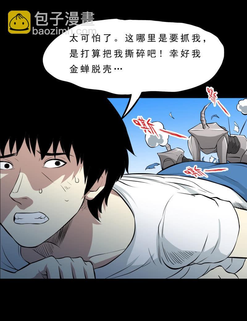 崭新的一天342