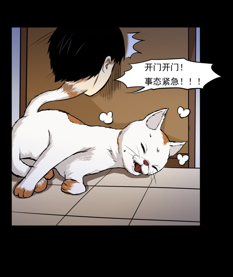 寄生兄弟333