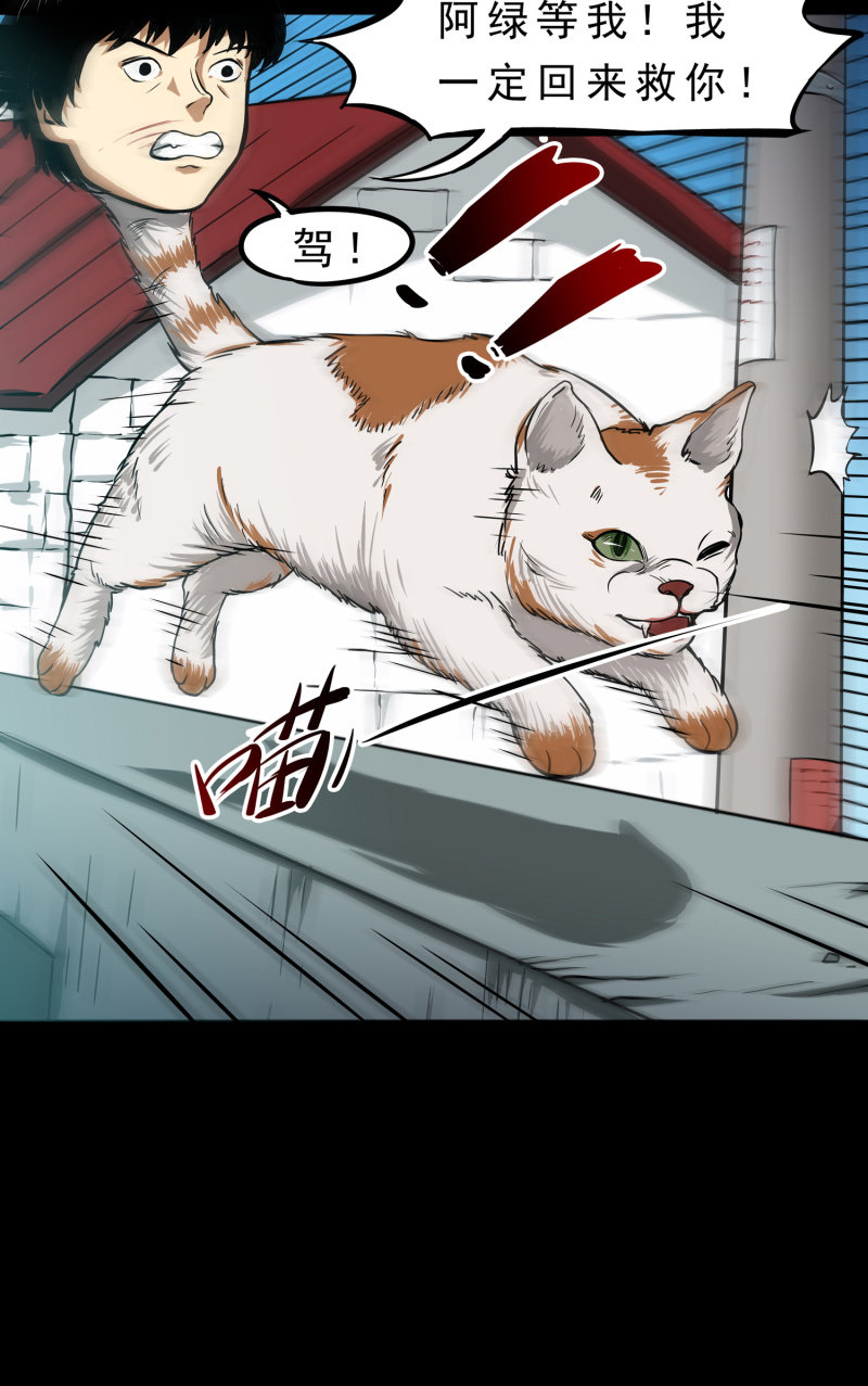 寄生兄弟330