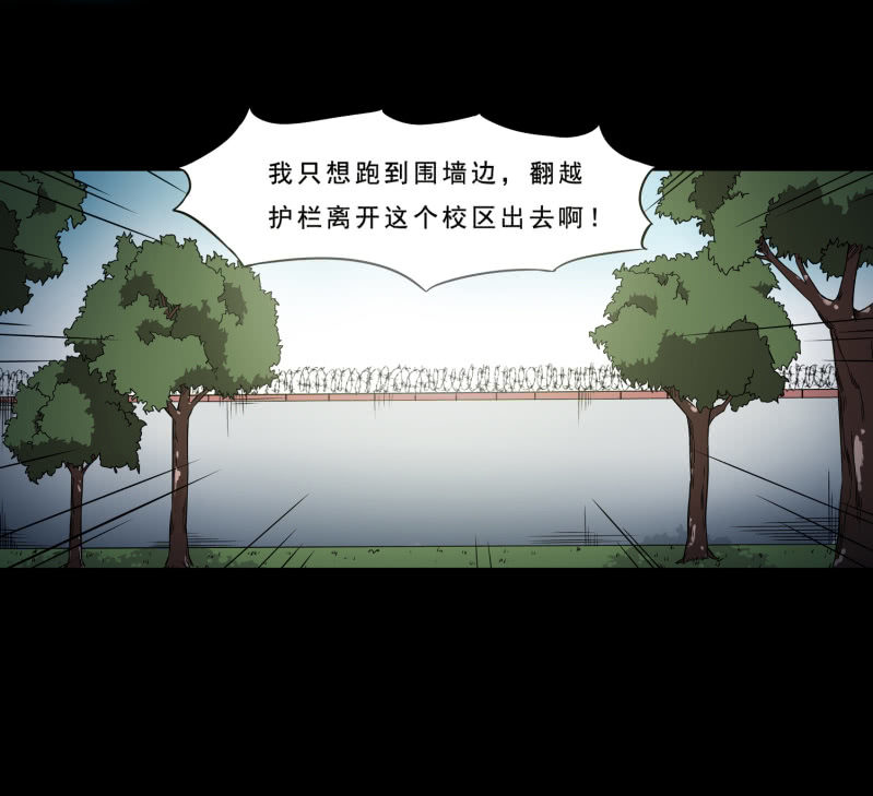 崭新的一天317