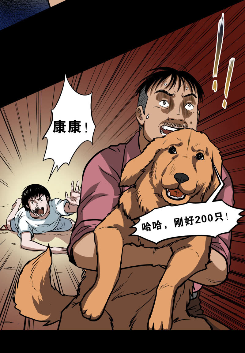 狗灵·异世界237