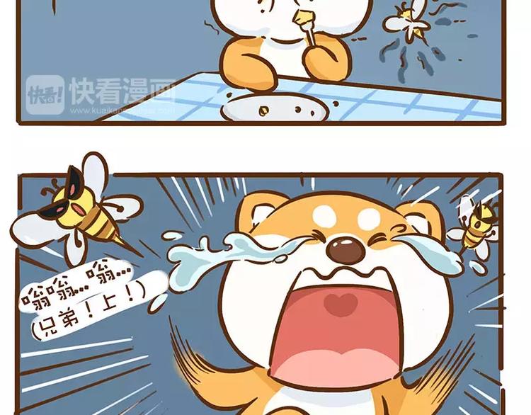 第11话 蜜蜂蛋糕5