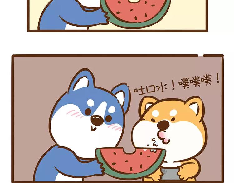 第14话 吃西瓜4