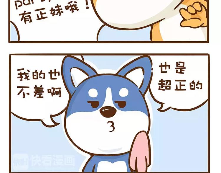 第7话 二哈的超级正妹3