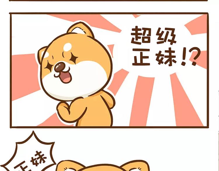 第7话 二哈的超级正妹4