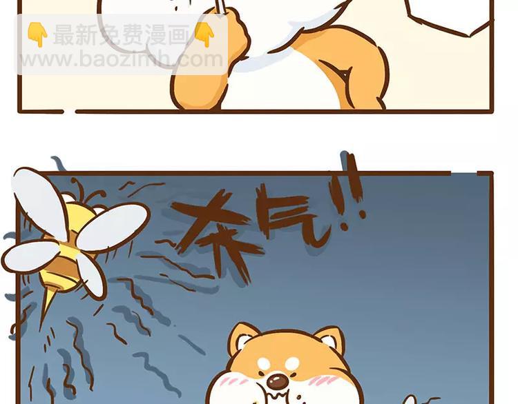 第11话 蜜蜂蛋糕4
