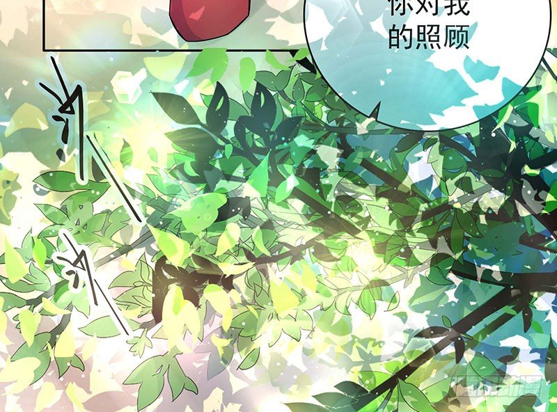 019 我净身出户56