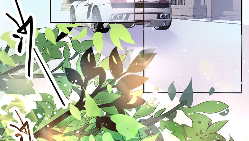 021 偶遇11