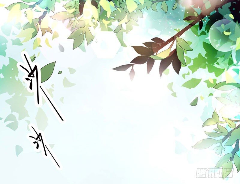 019 我净身出户11