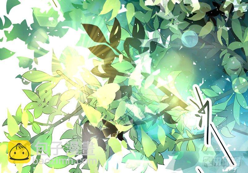 019 我净身出户15