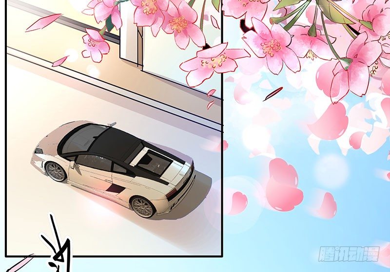 021 偶遇61