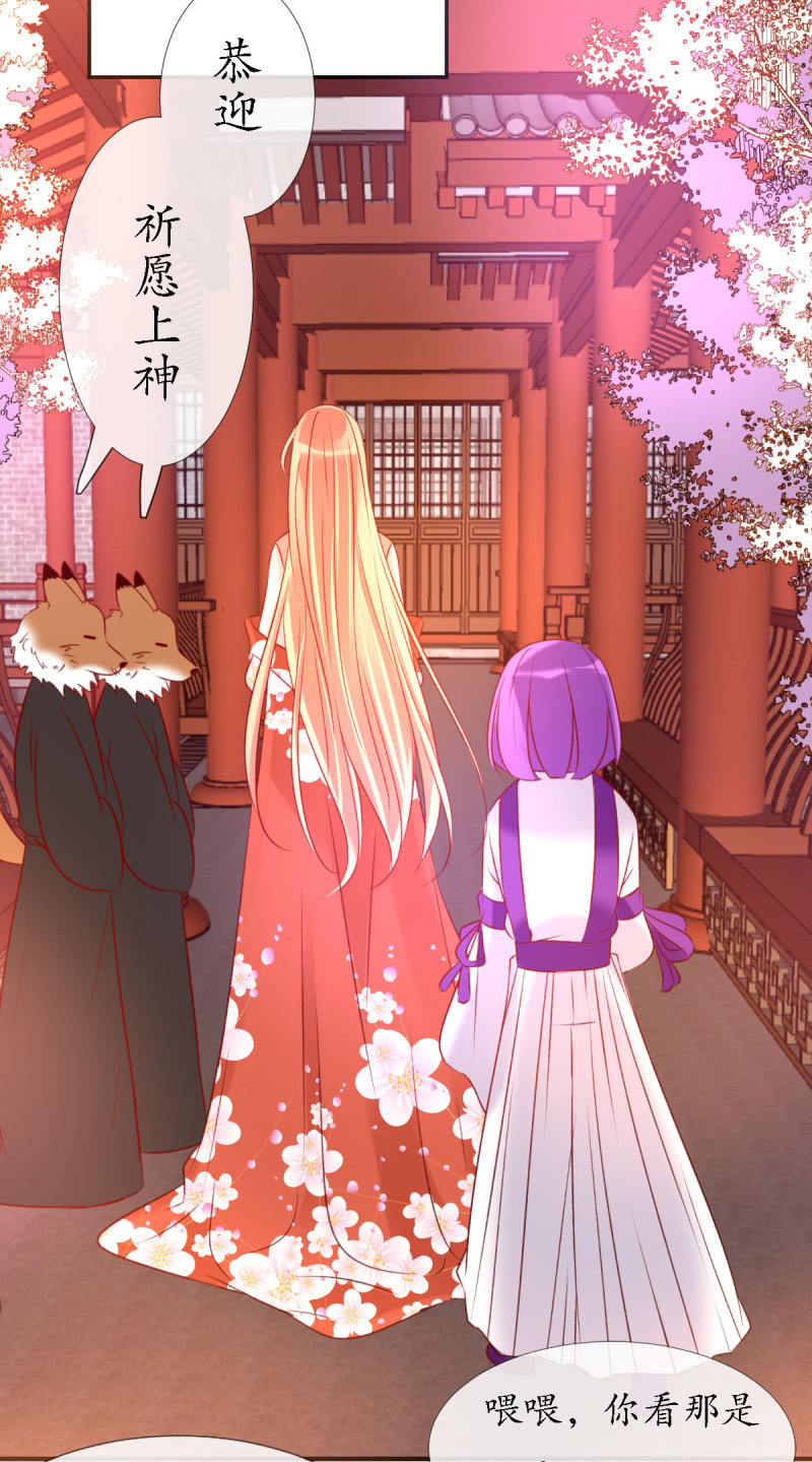 狐妖之族14