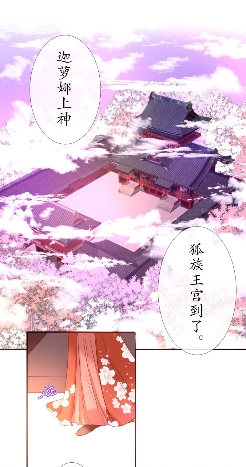 狐妖之族13