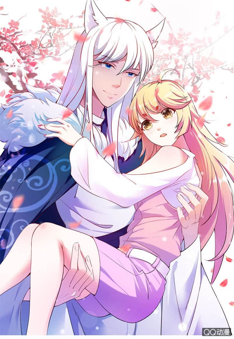 那么多理所当然的解释0
