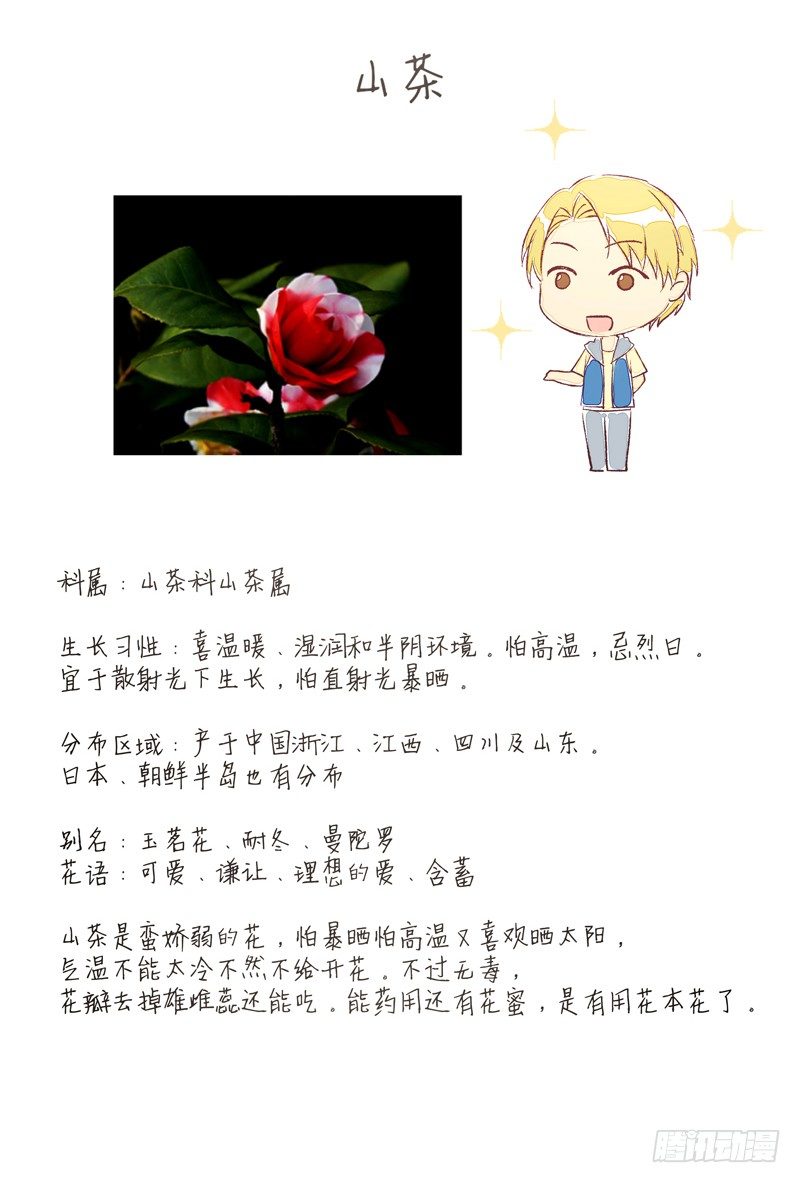 同类33