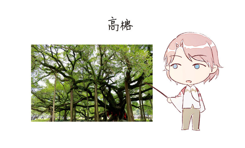 奇怪的声音33