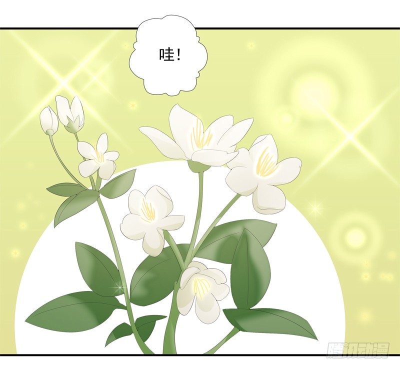 新的决定18