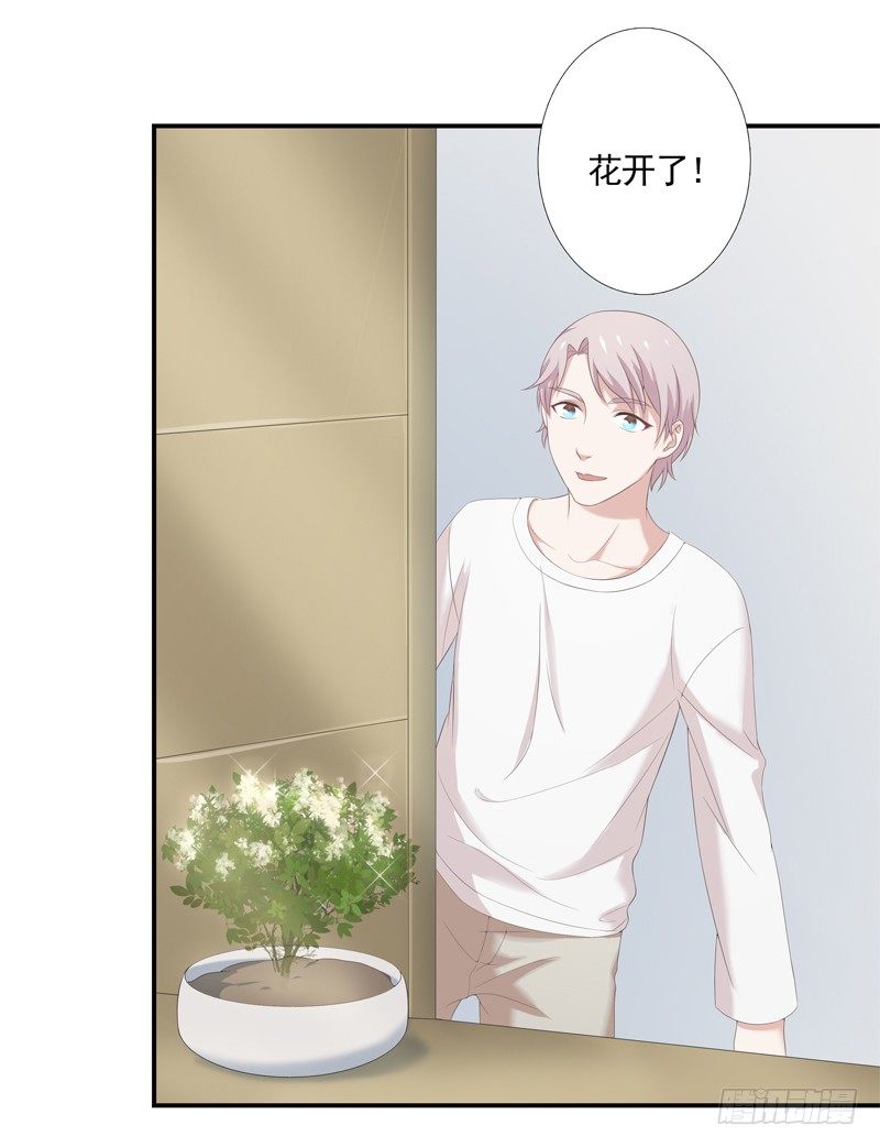 新的决定19