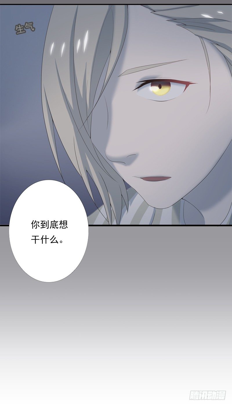 新的决定38