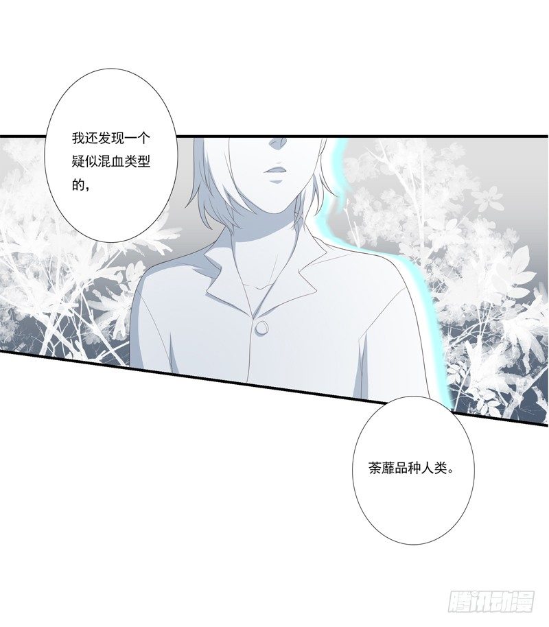 秘密基地25