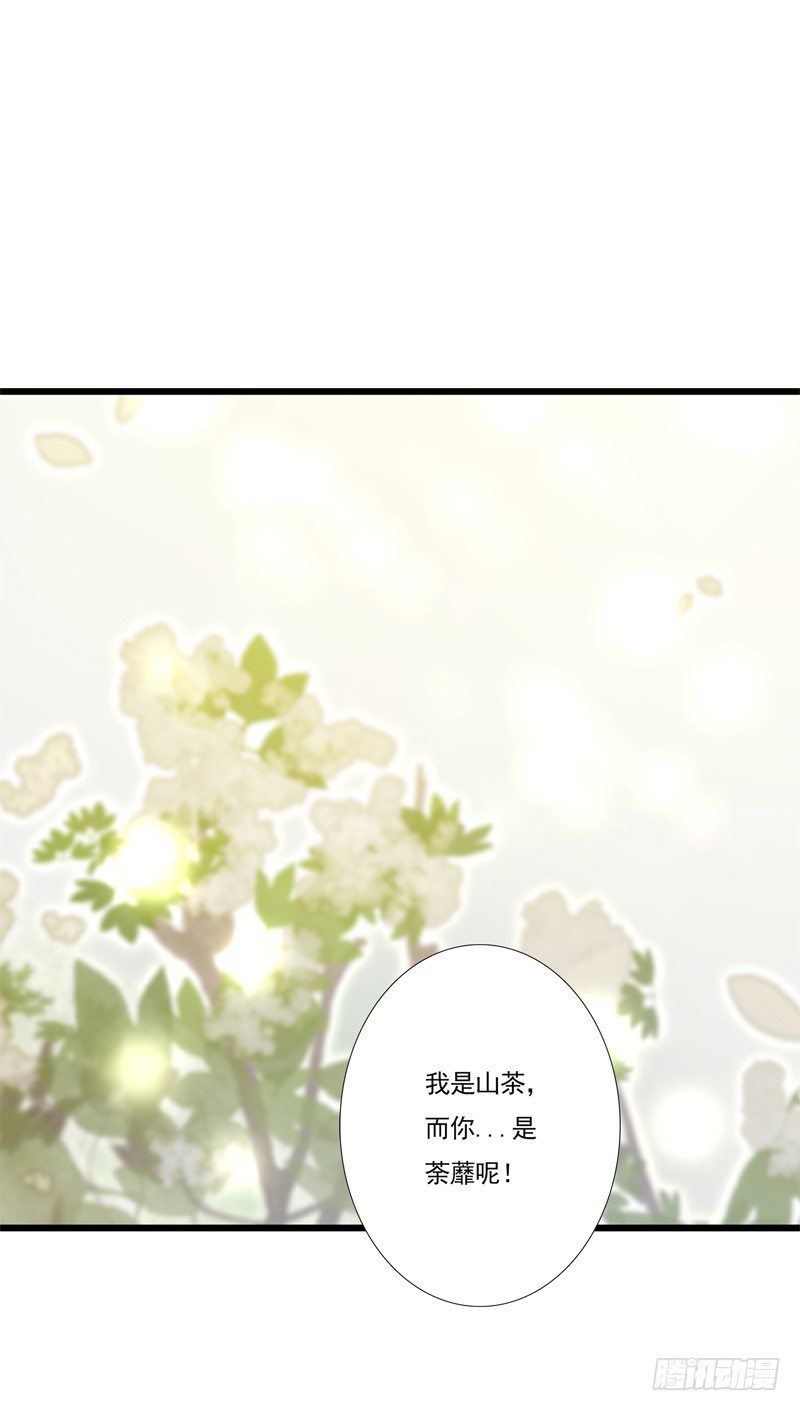 同类25