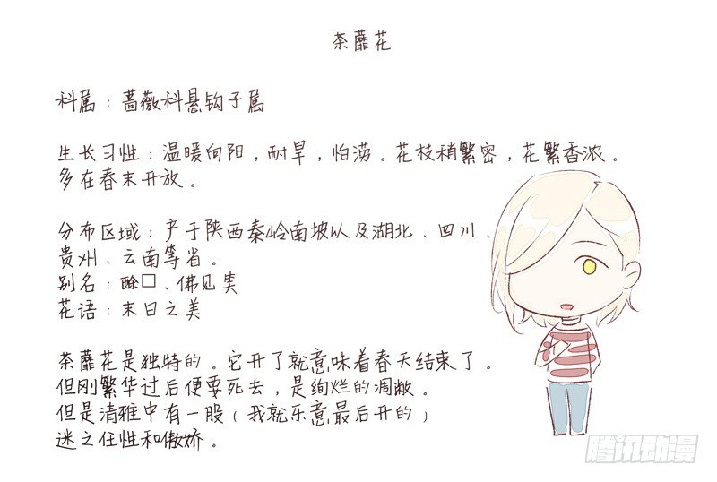 秘密基地44