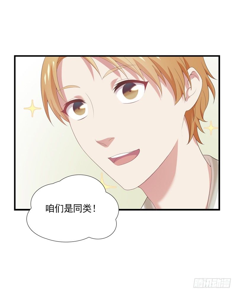 同类20