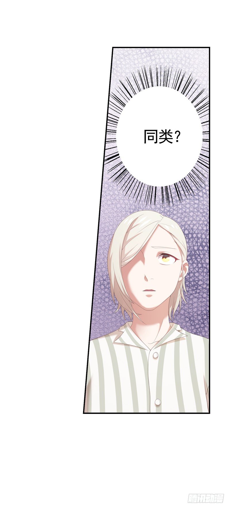同类24