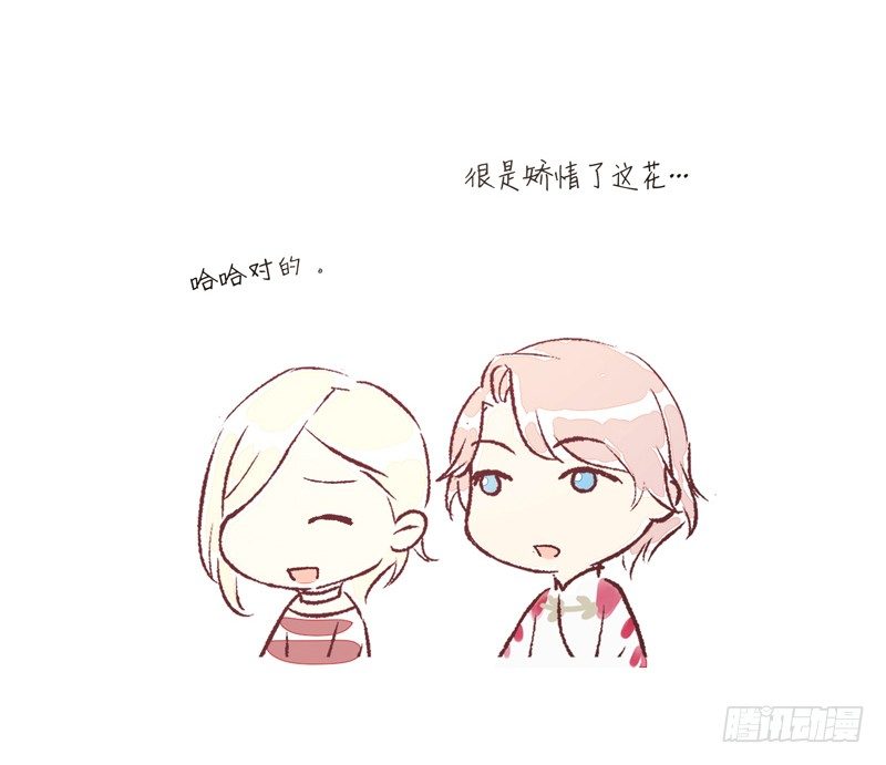 同类34
