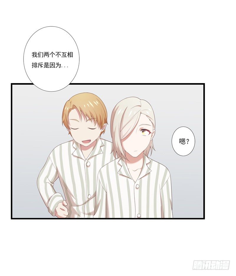 同类19
