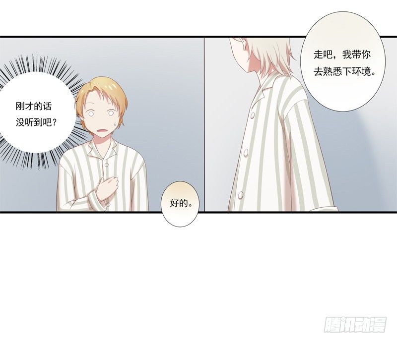 同类16