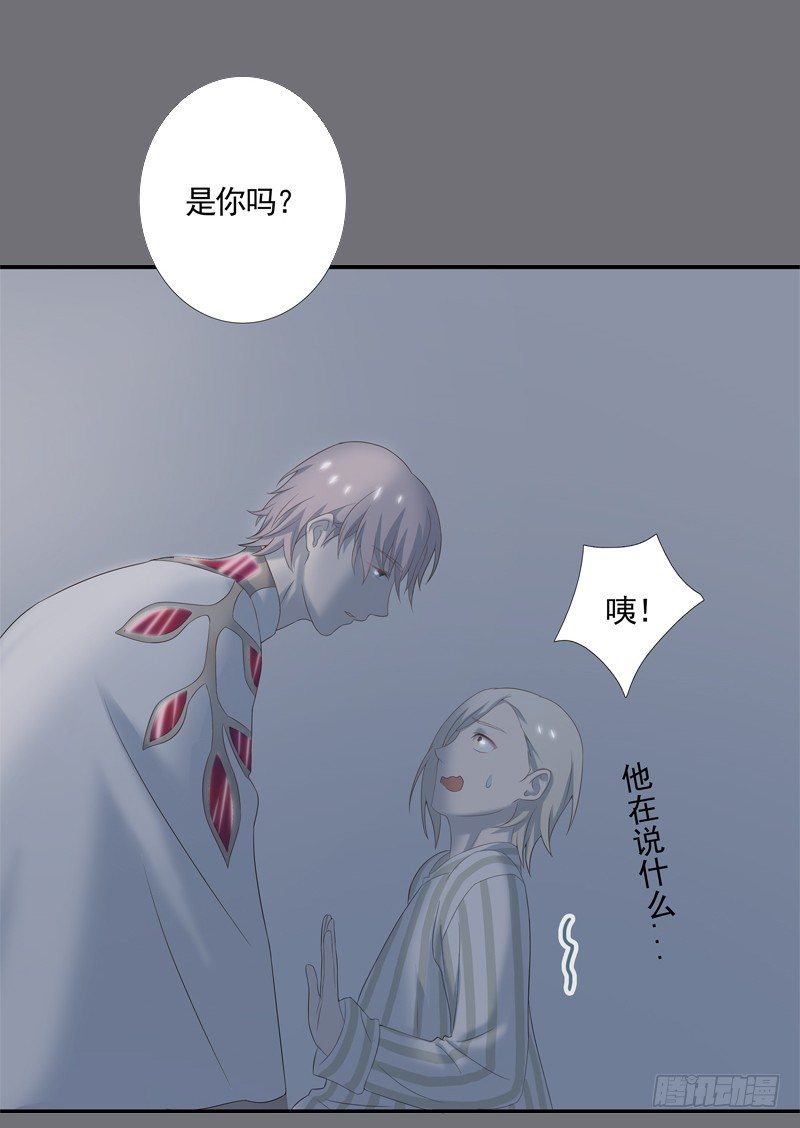 新的决定14