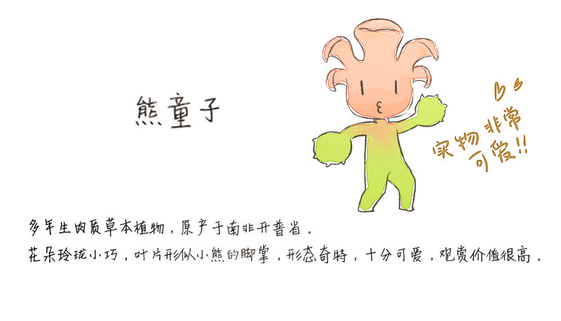 相遇40