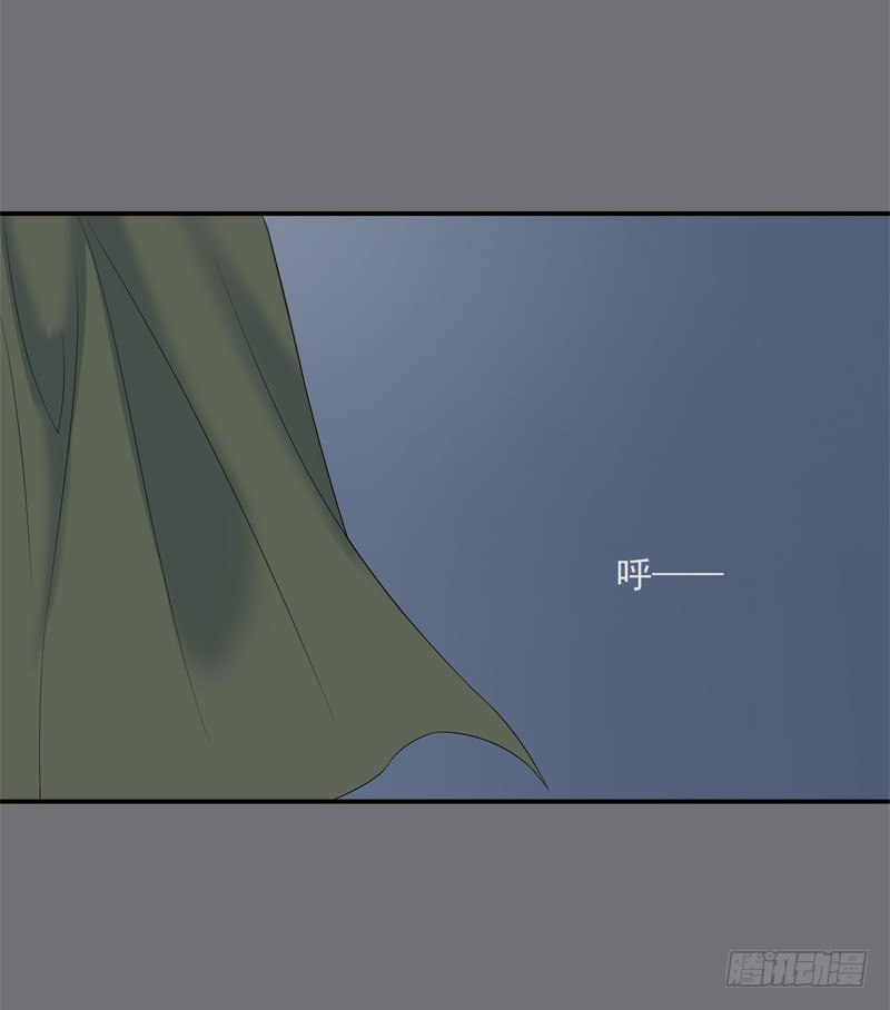 同行31