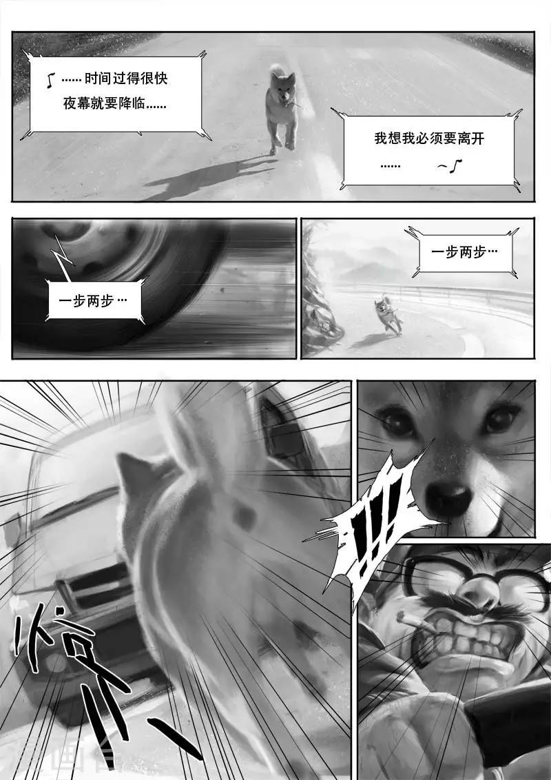 第1话 相遇6