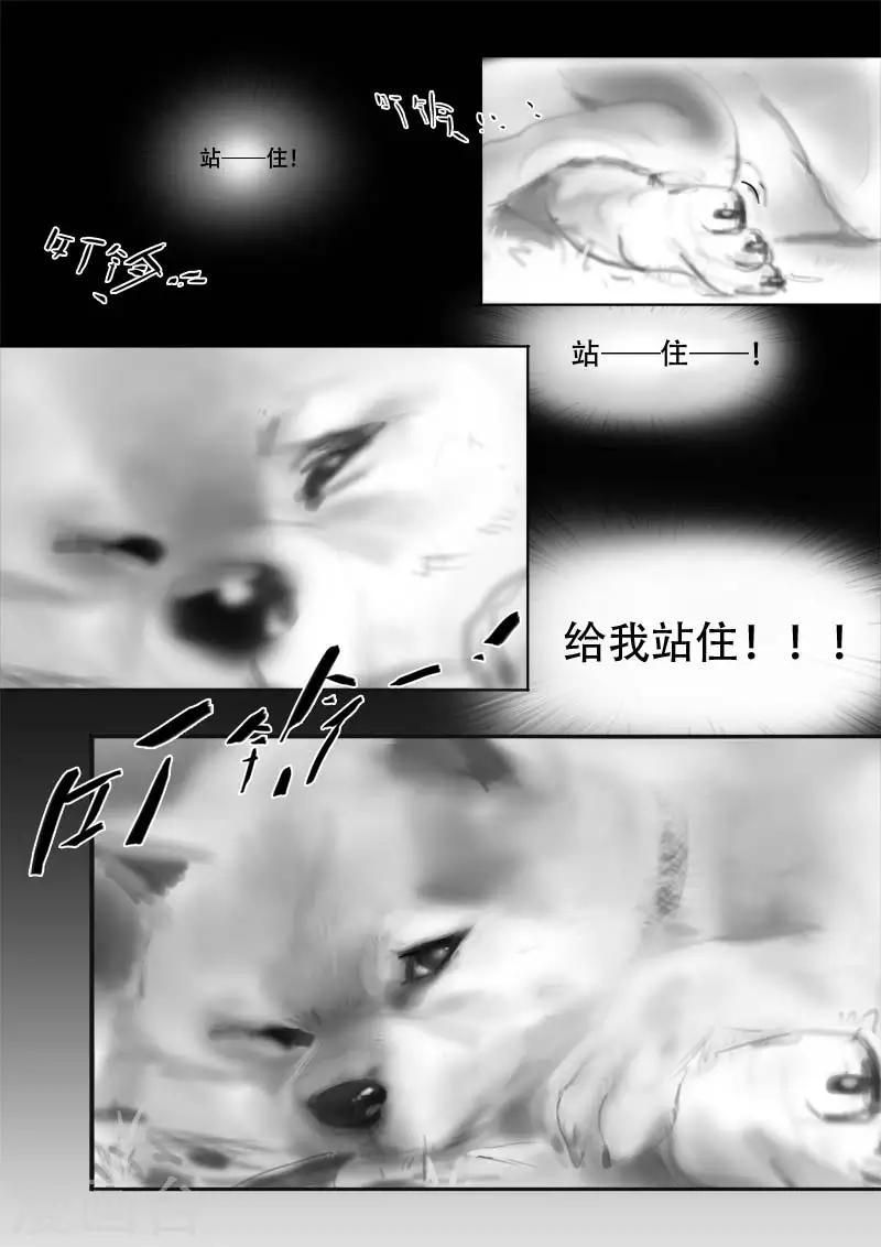 第1话 相遇11