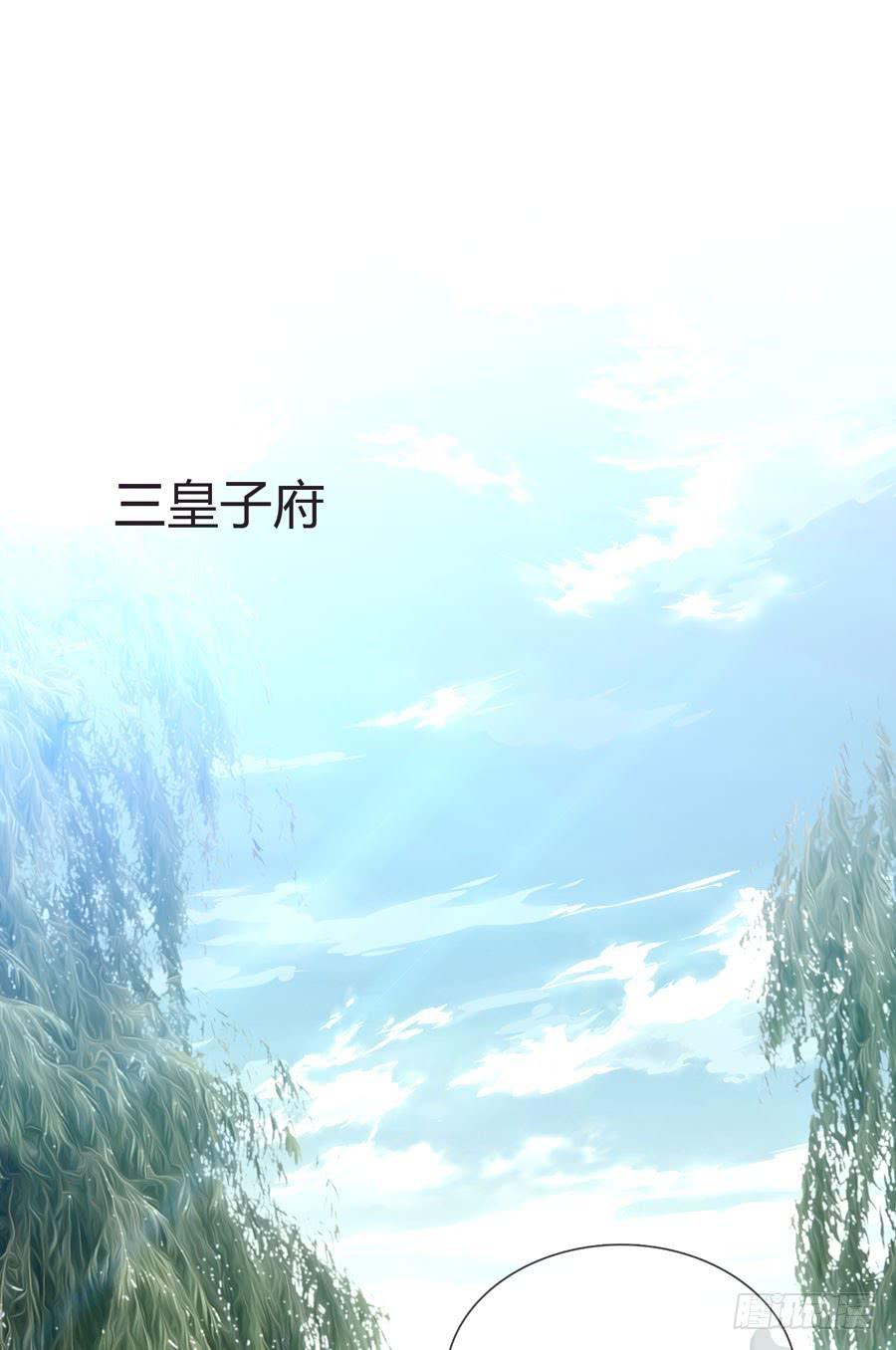 皇上驾崩35