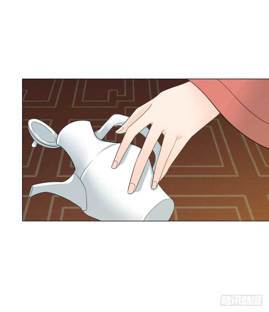 新皇大婚30