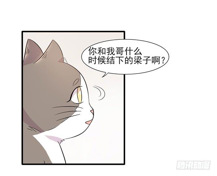 第013话29