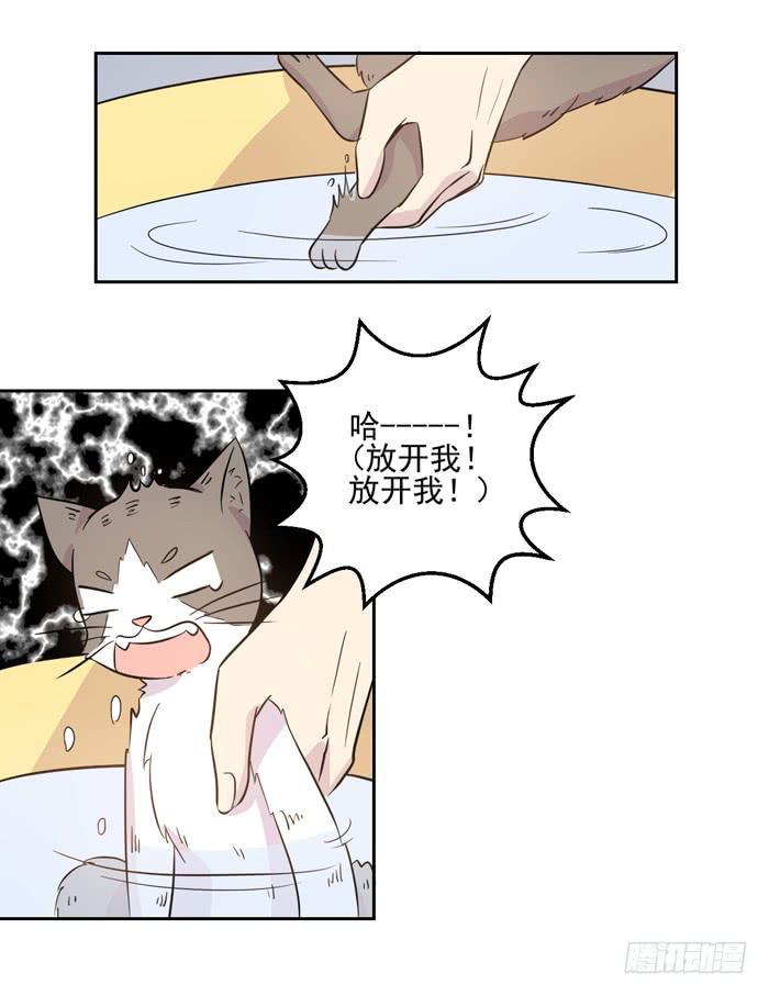 第018话11