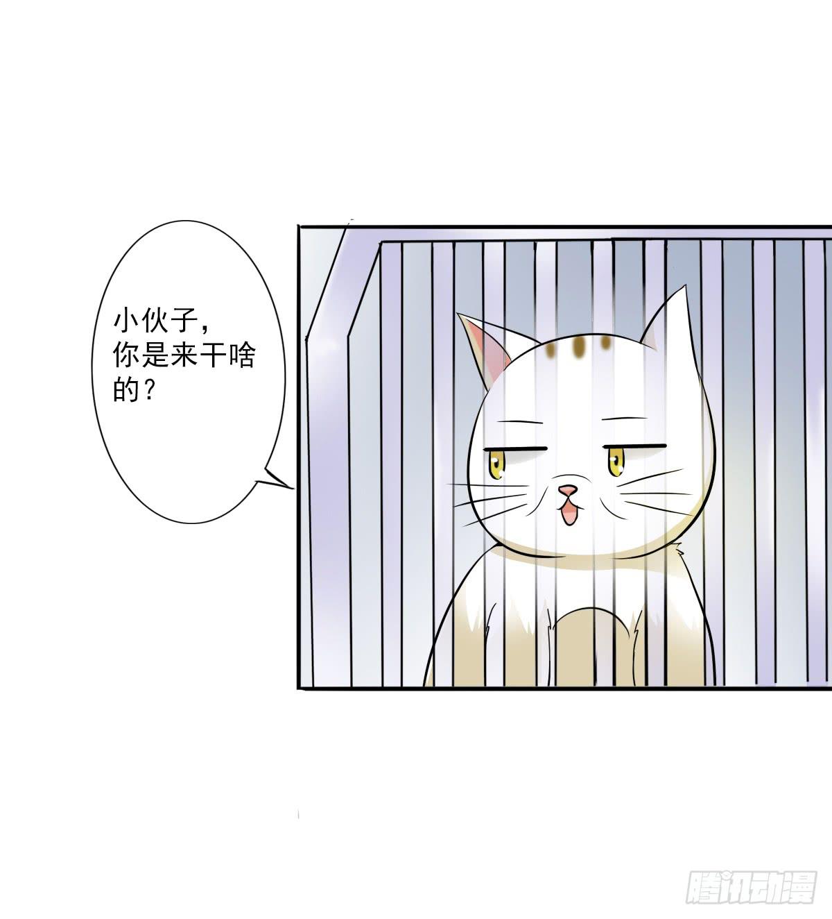 第003话22