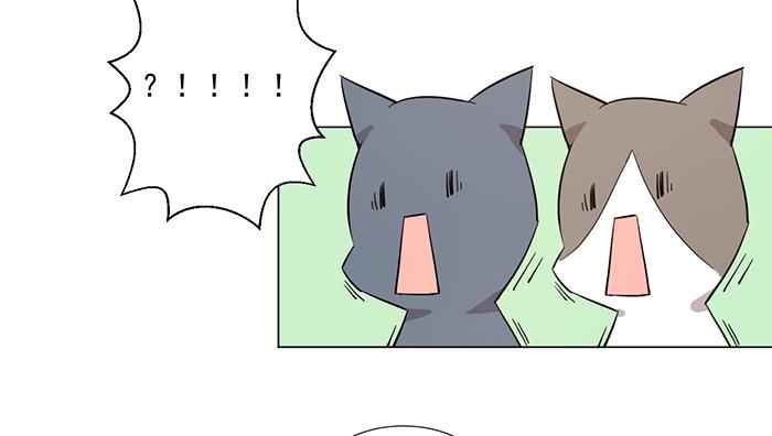 第041话41