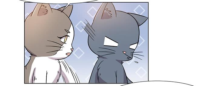 第030话17