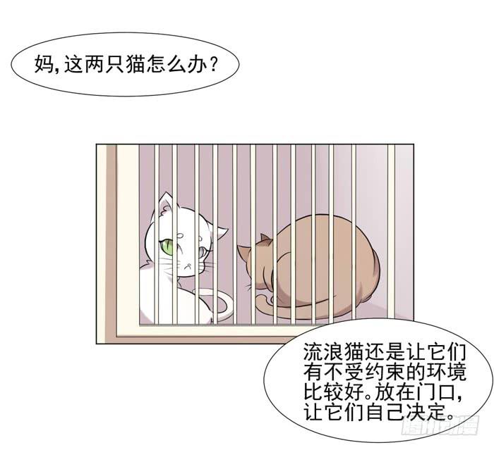 第040话31