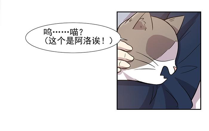 第028话28